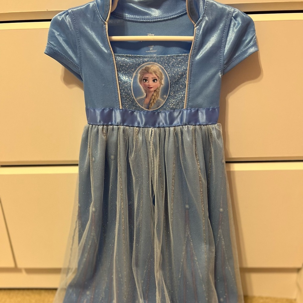 Disney Princess (Elsa) dress